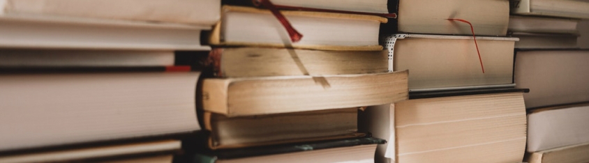 MLA International Bibliography Banner